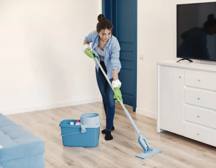 Femme de ménage Marciac